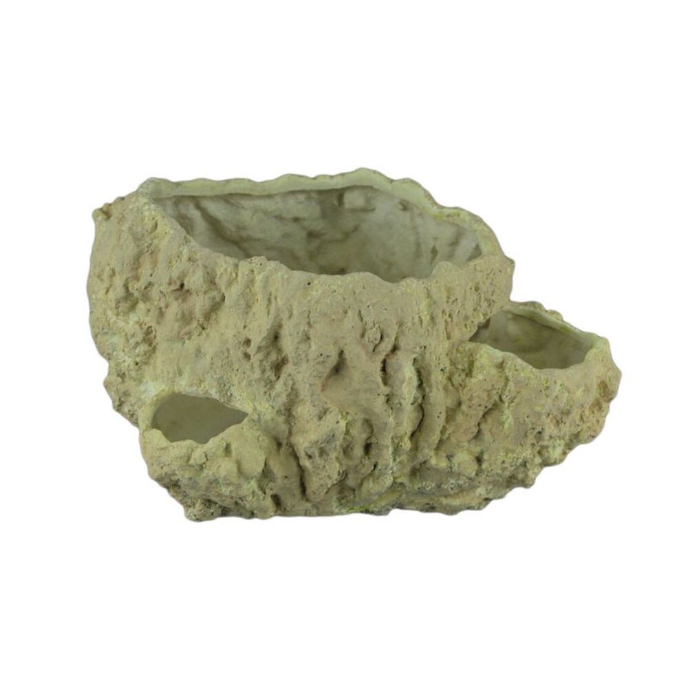 Off-White Fossilized Coral Decorative Coastal Decor Vase